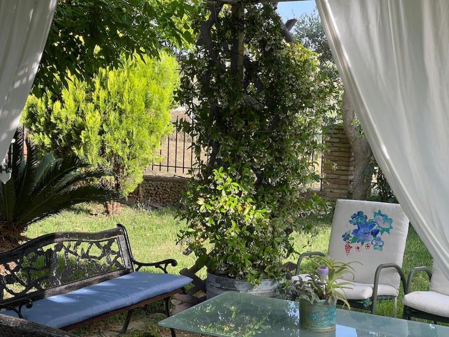 Mama'S Sunshine Garden Villa Agios Ilias (Elis) Exterior foto