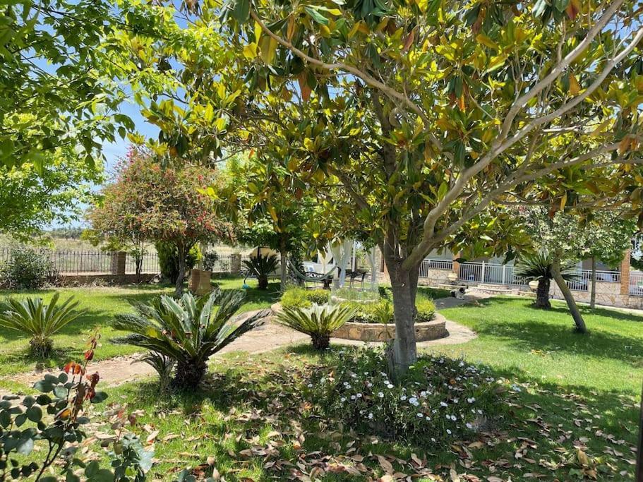 Mama'S Sunshine Garden Villa Agios Ilias (Elis) Exterior foto
