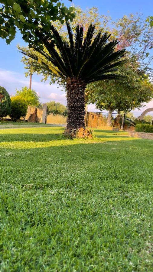 Mama'S Sunshine Garden Villa Agios Ilias (Elis) Exterior foto