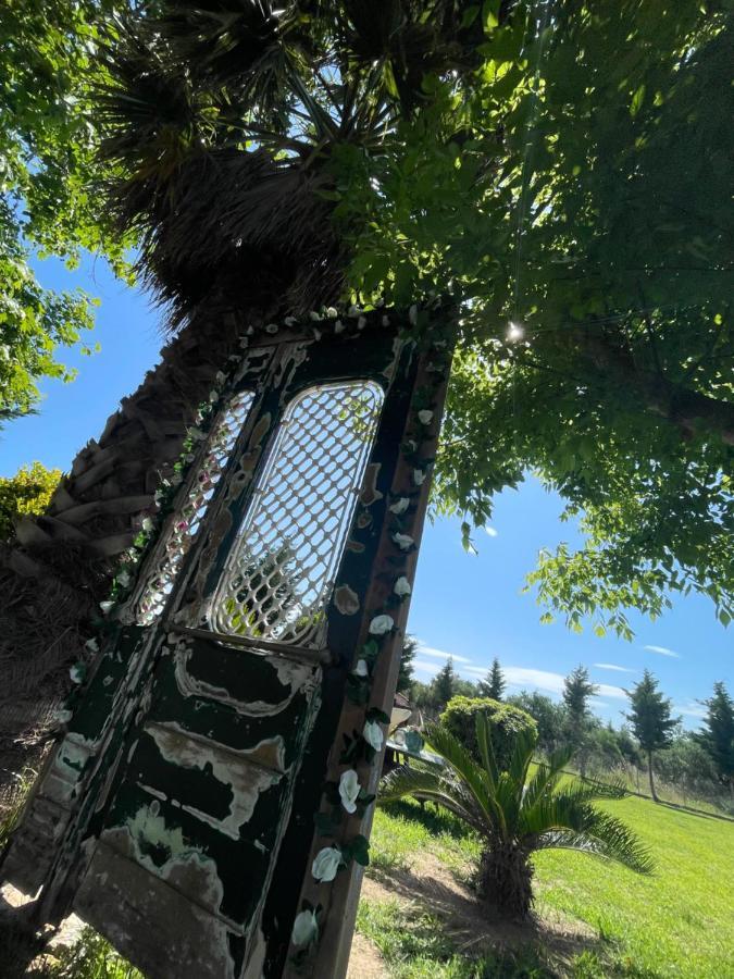 Mama'S Sunshine Garden Villa Agios Ilias (Elis) Exterior foto