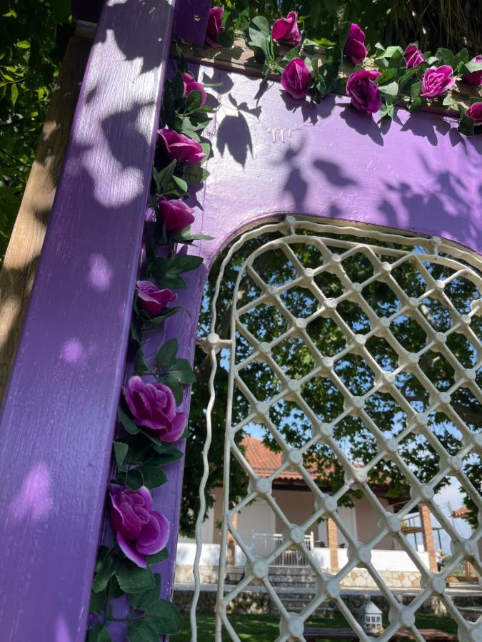 Mama'S Sunshine Garden Villa Agios Ilias (Elis) Exterior foto