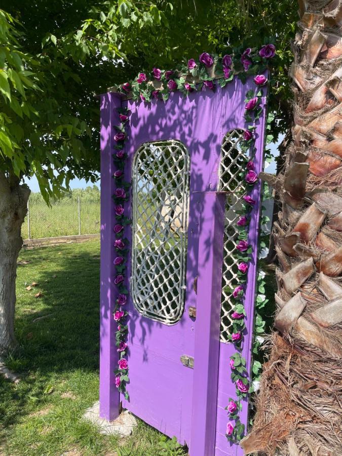 Mama'S Sunshine Garden Villa Agios Ilias (Elis) Exterior foto