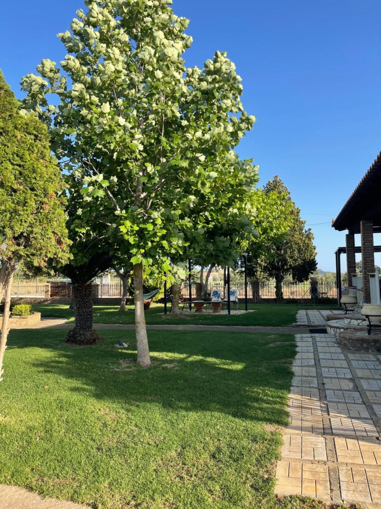 Mama'S Sunshine Garden Villa Agios Ilias (Elis) Exterior foto