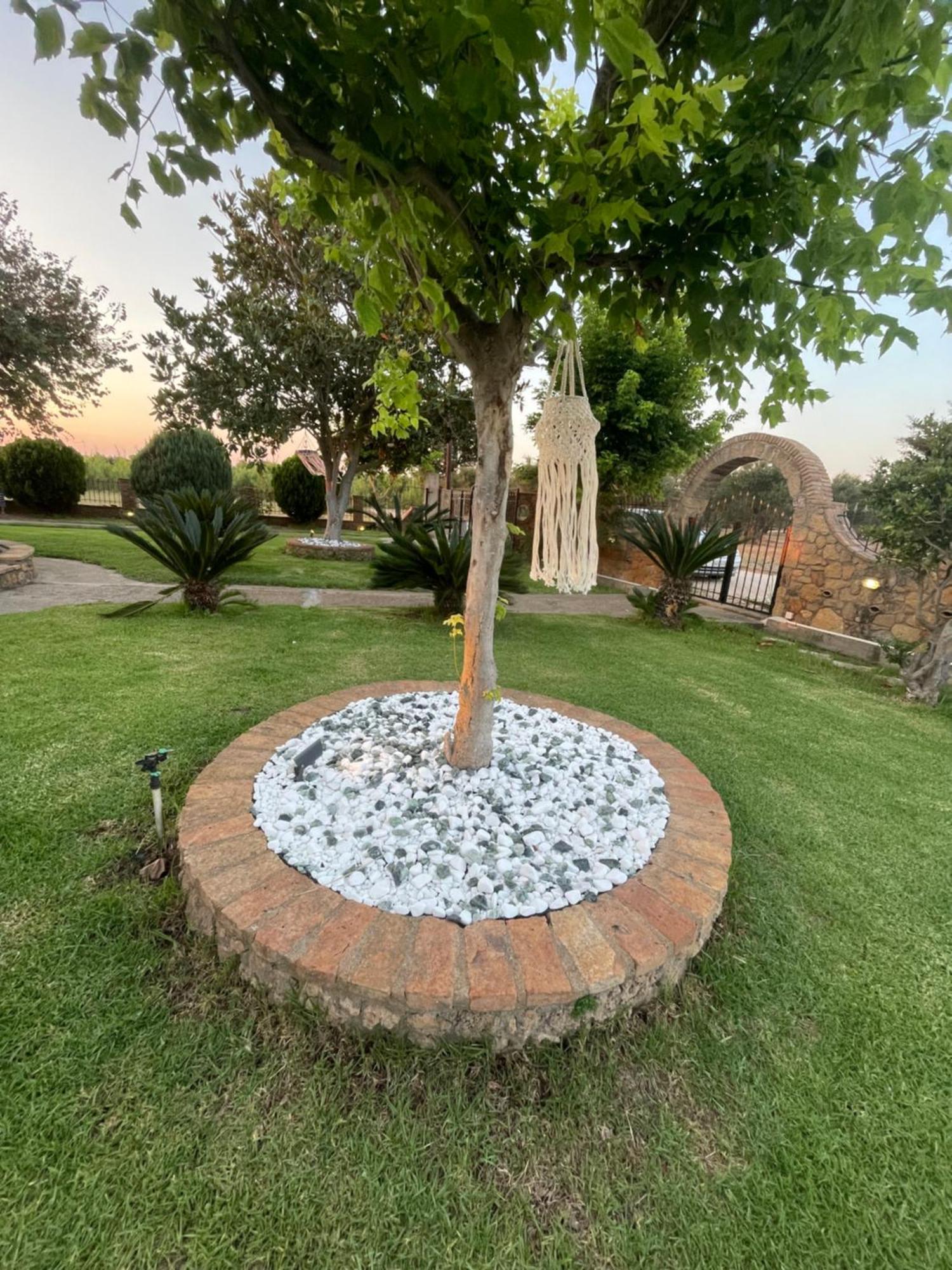 Mama'S Sunshine Garden Villa Agios Ilias (Elis) Exterior foto